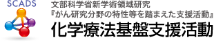 文部科学省新学術領域研究『がん研究分野の特性等を踏まえた支援活動』化学療法基盤支援活動