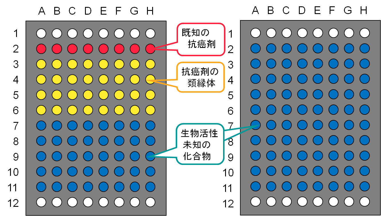 riken1